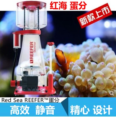 Israel Red Sea Aquarium RED SEA RSK protein separator Manual clean functionin the Pet/Pet food and supplies , Aqua World , Aquarium fish tanks and other equipment , Filtration equipment category - from Buy2taobao.com to provide professional Taobao agent buy service