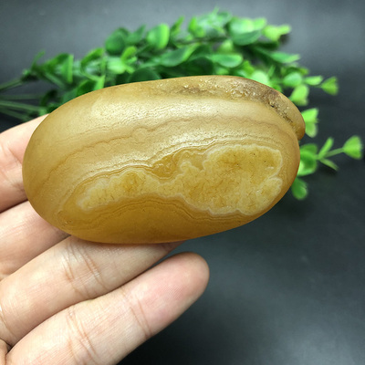 如意马达加斯花纹籽料天然马料象形原石手把石头收藏奇石摆件