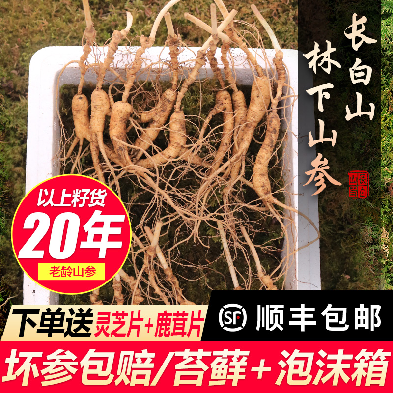 林下参20年新鲜野山参500g老山