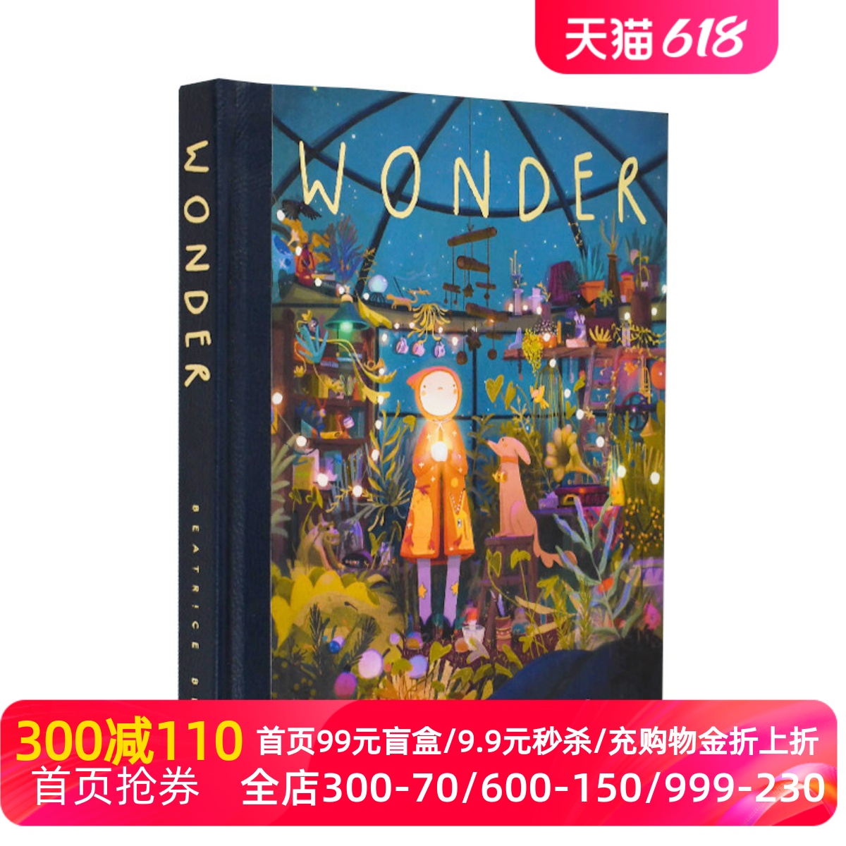 精装 Wonder奇迹 英文原版 