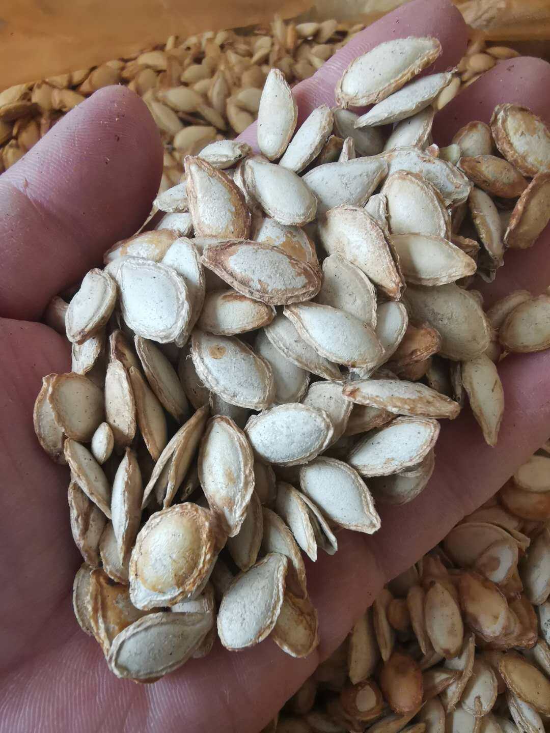 唐山本地原味炒倭瓜籽窝瓜瓜子1斤瓜子