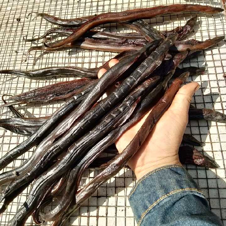 大量批黄鳝干长鱼干干黄鳝鱼1斤起鸟食黄鳝干