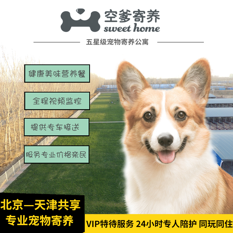 十年老店【空爹宠物寄养】 北京寄养 狗狗游泳 独立院子 上门接送