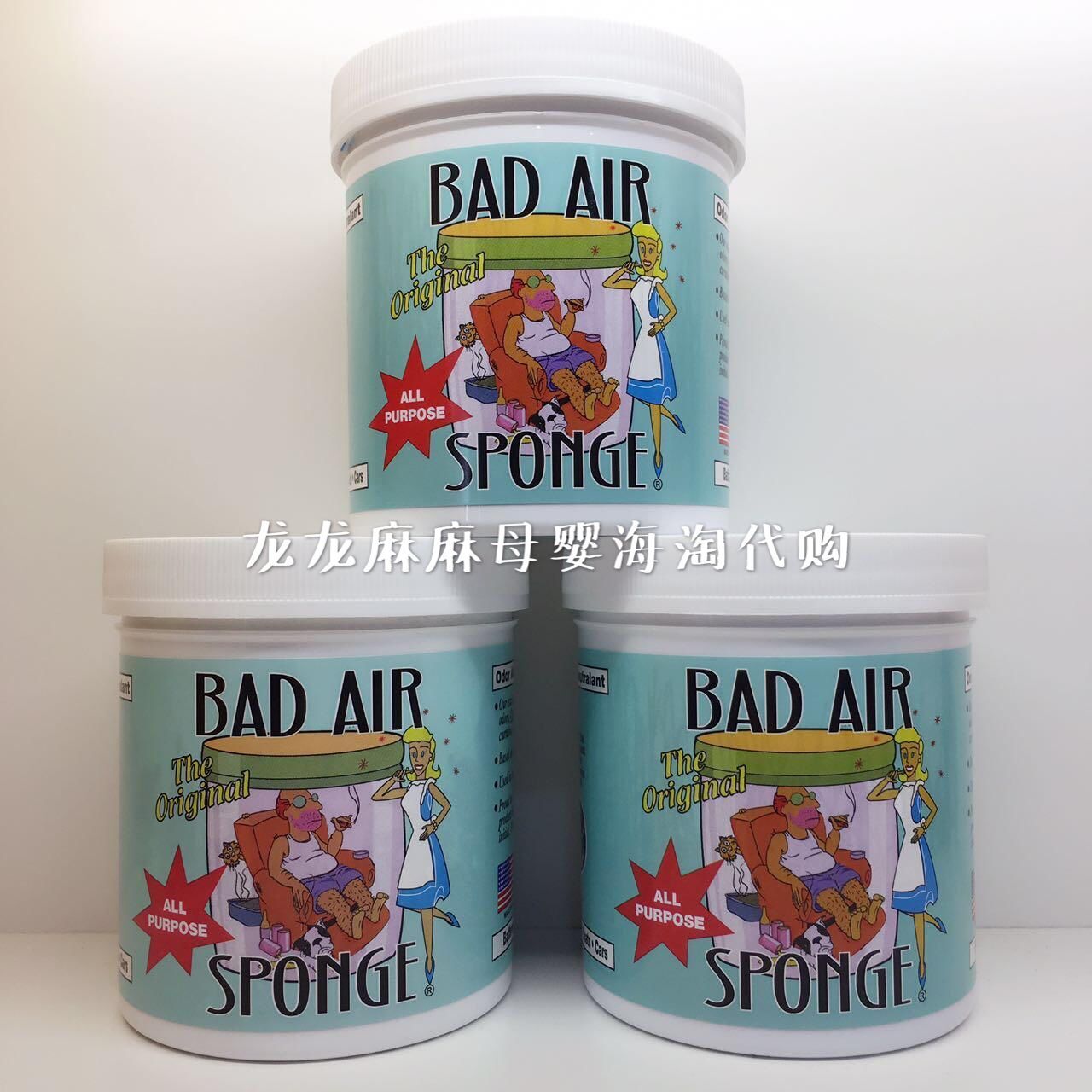 美国白宫御用 Bad air sponge 空气净化剂 除异味除甲醛净化剂