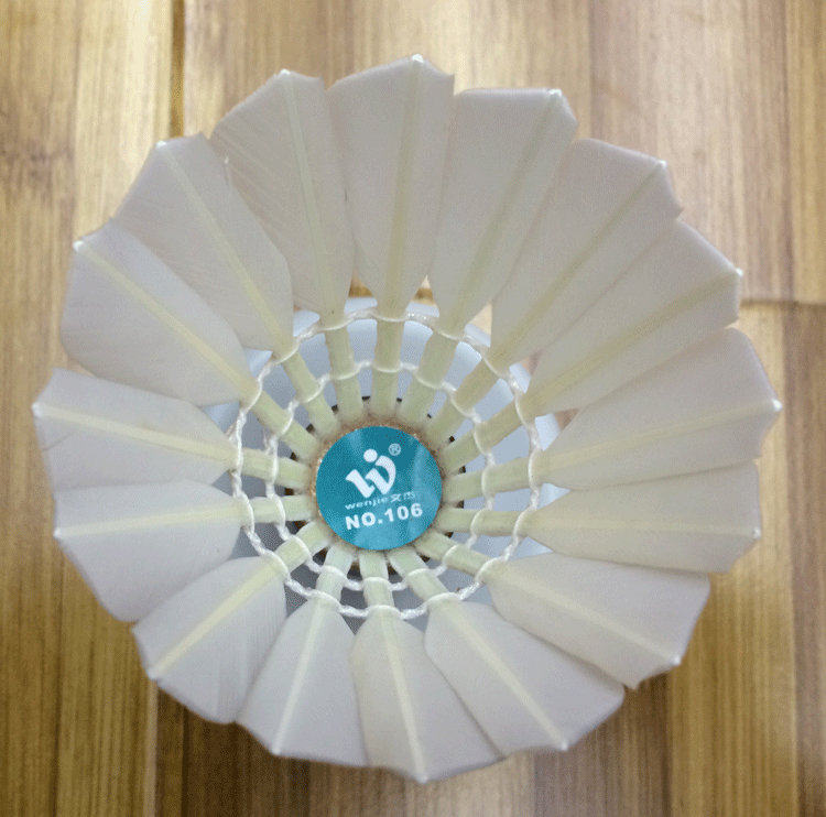 海王局体育总代文杰羽毛球推荐具乐部稳定耐打型羽毛球