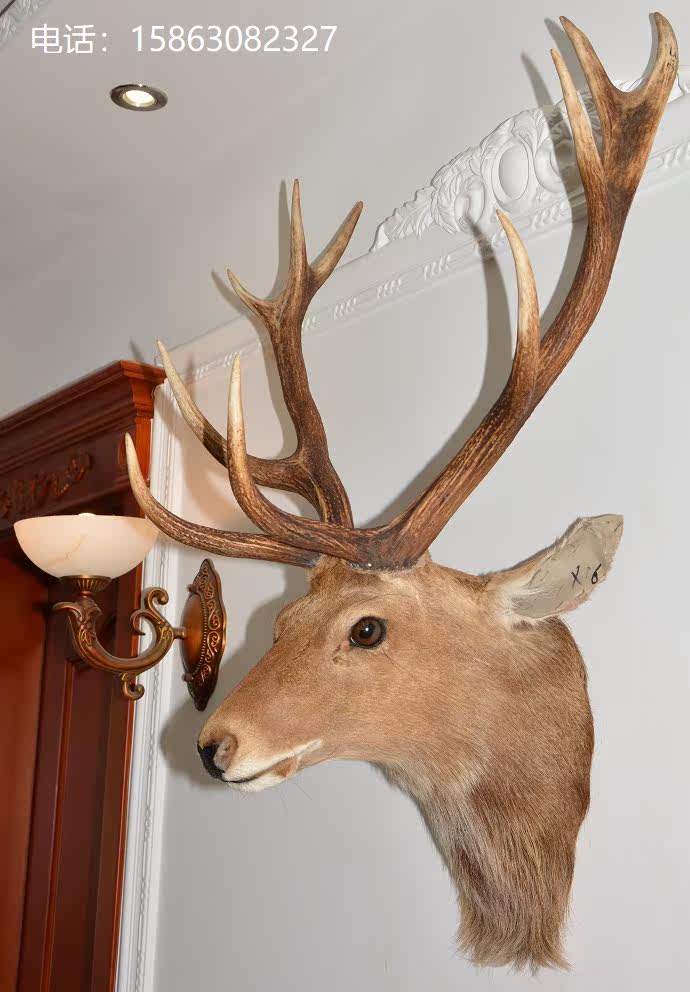 真鹿头标本壁挂x6美欧式酒吧墙饰酒窖咖啡厅会所 鹿角装饰品礼品