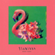 原装进口 米津玄师专辑 Flamingo/TEENAGE RIOT 日文原版CD唱片