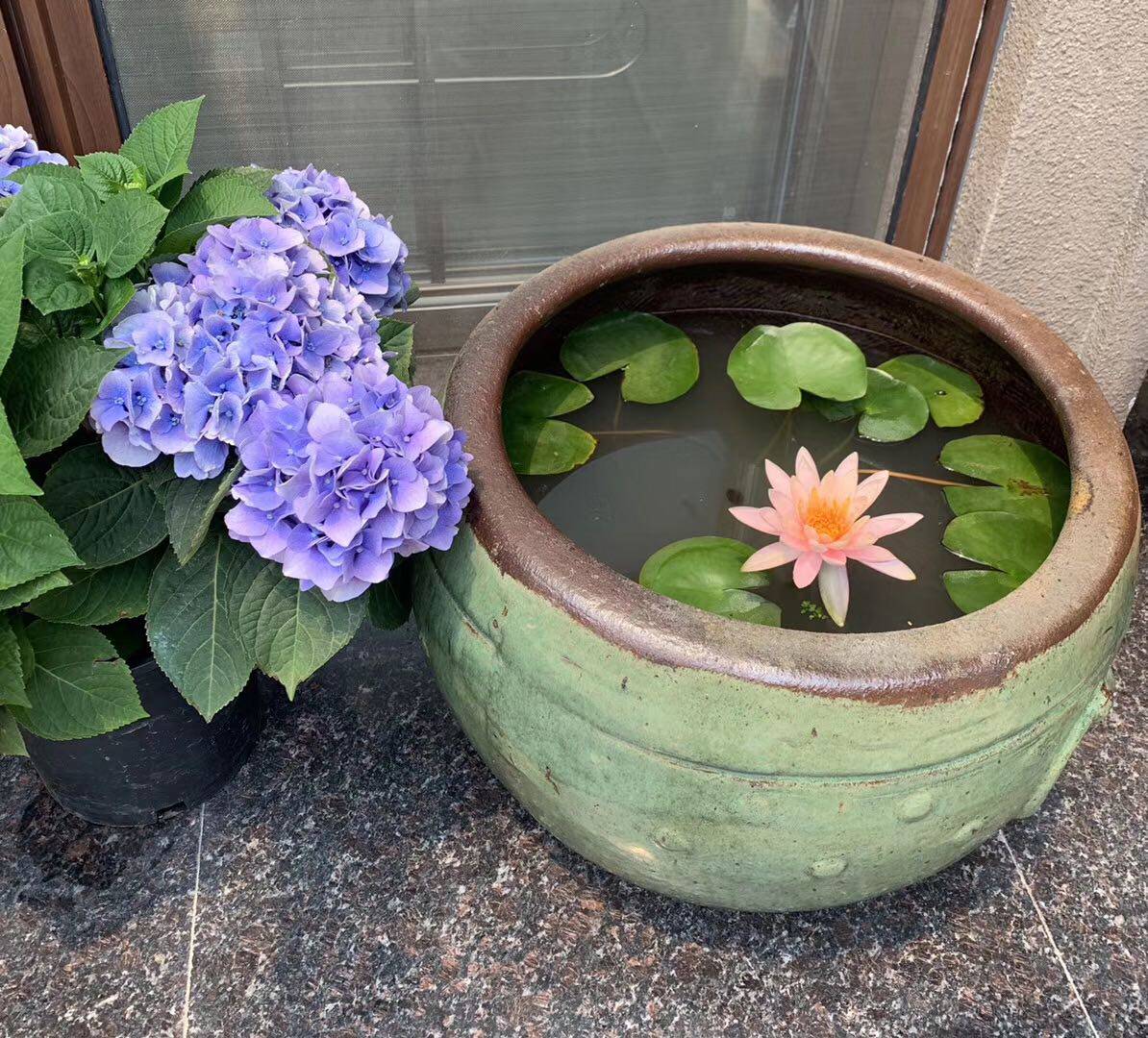 花盆园林红陶荷花缸流水盆景观别墅庭院装饰花盆