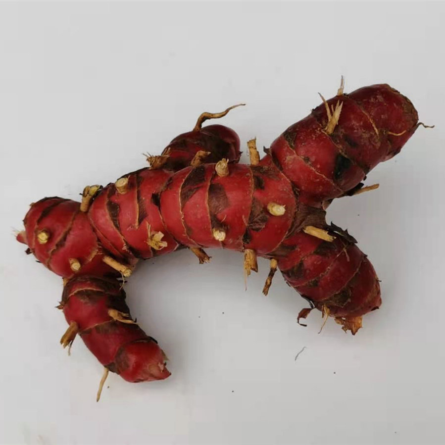 新鲜南姜山姜galangal冬阴功汤香料牛羊肉火锅配料调味包邮优鲜购