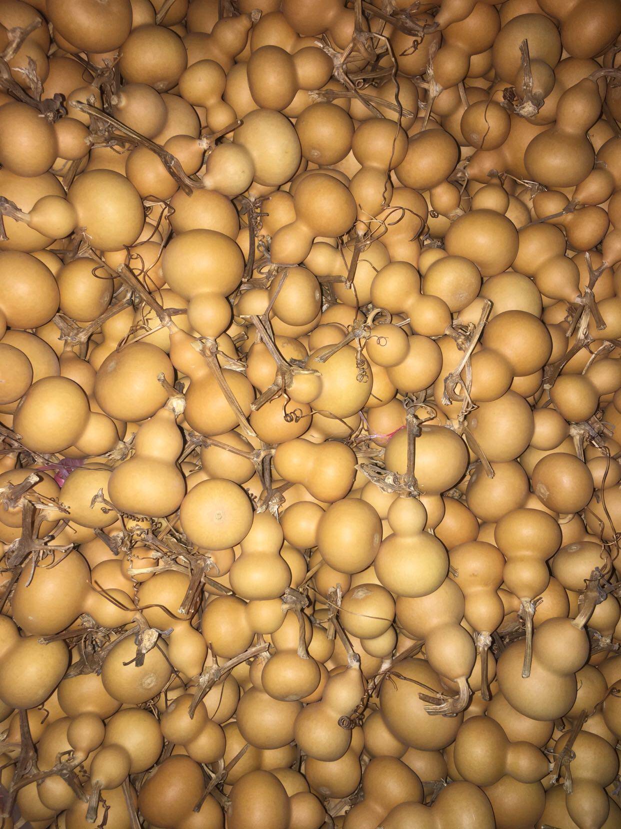 便宜把玩装饰门店居家挂件摆摊野生葫芦国手葫芦