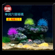 鱼缸假山造景装饰仿真珊瑚假山假石头躲避特大号水族海洋摆件包邮