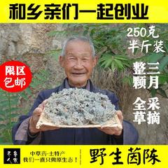 沂蒙山野生茵陈 整颗带根250克中药材绵红枣茵陈茶白蒿孕期祛黄茶