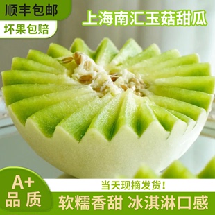 上海南汇玉菇甜瓜应当季新鲜水果冰激凌蜜瓜整箱5斤青皮绿肉现摘