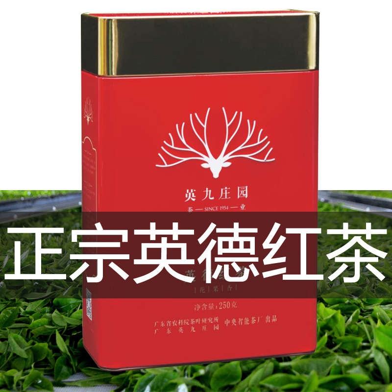 英九庄园红冠花果香英德红茶英红九号广东正品浓香型红茶高档2019