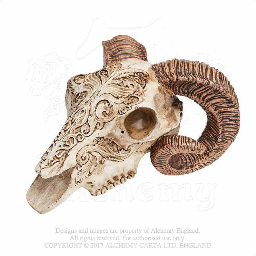 alchemy vault v53 scrimshaw ram skull雕花公羊头骨哥特摆件