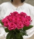 【格桑花】新鲜玫瑰单头玫瑰大花苞桃红色玫瑰弗洛伊德基地直发