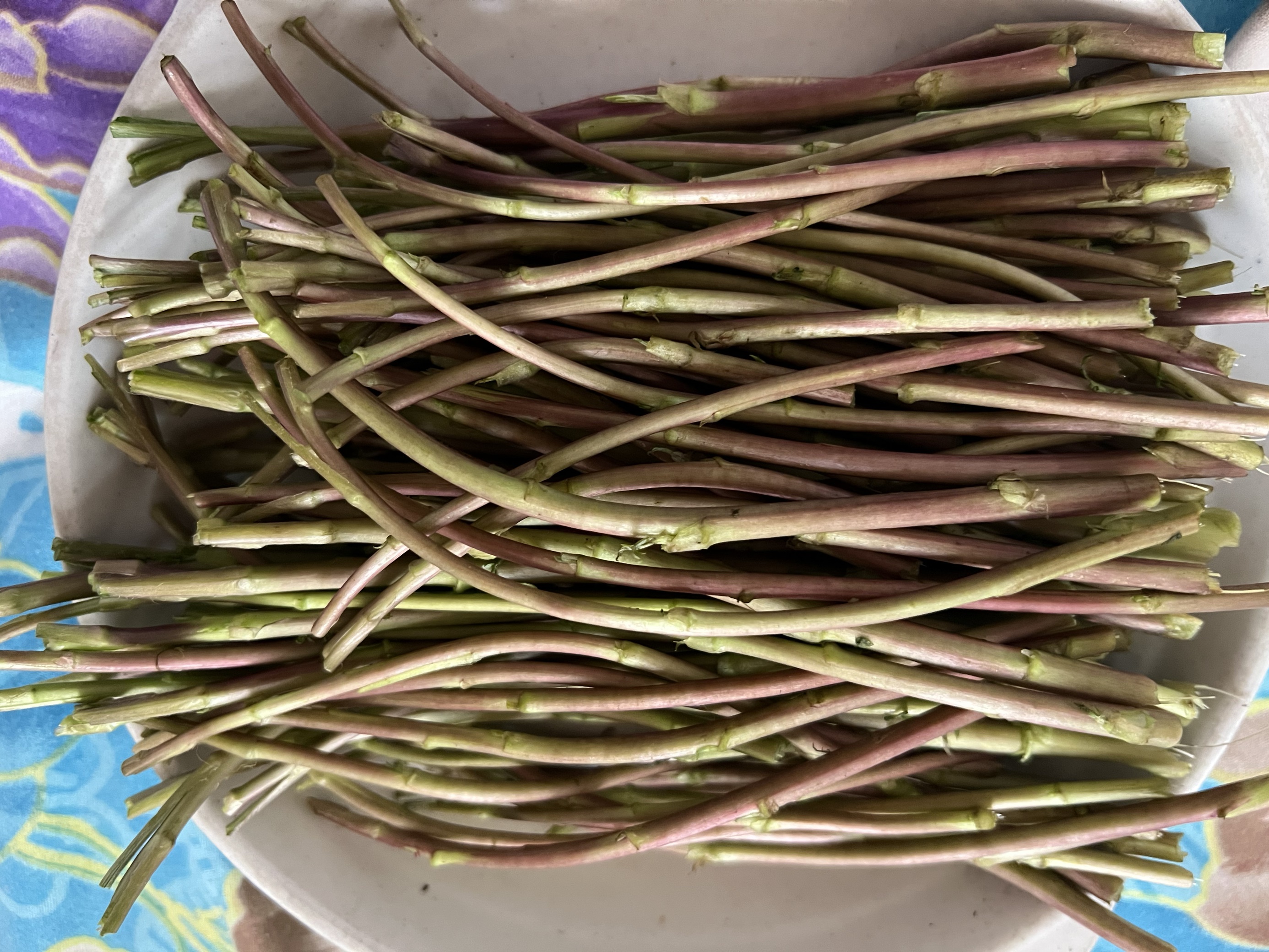 新鲜现摘八卦洲野生红藜蒿芦蒿去根叶香浓净菜芦蒿泥蒿摘叶坏包赔