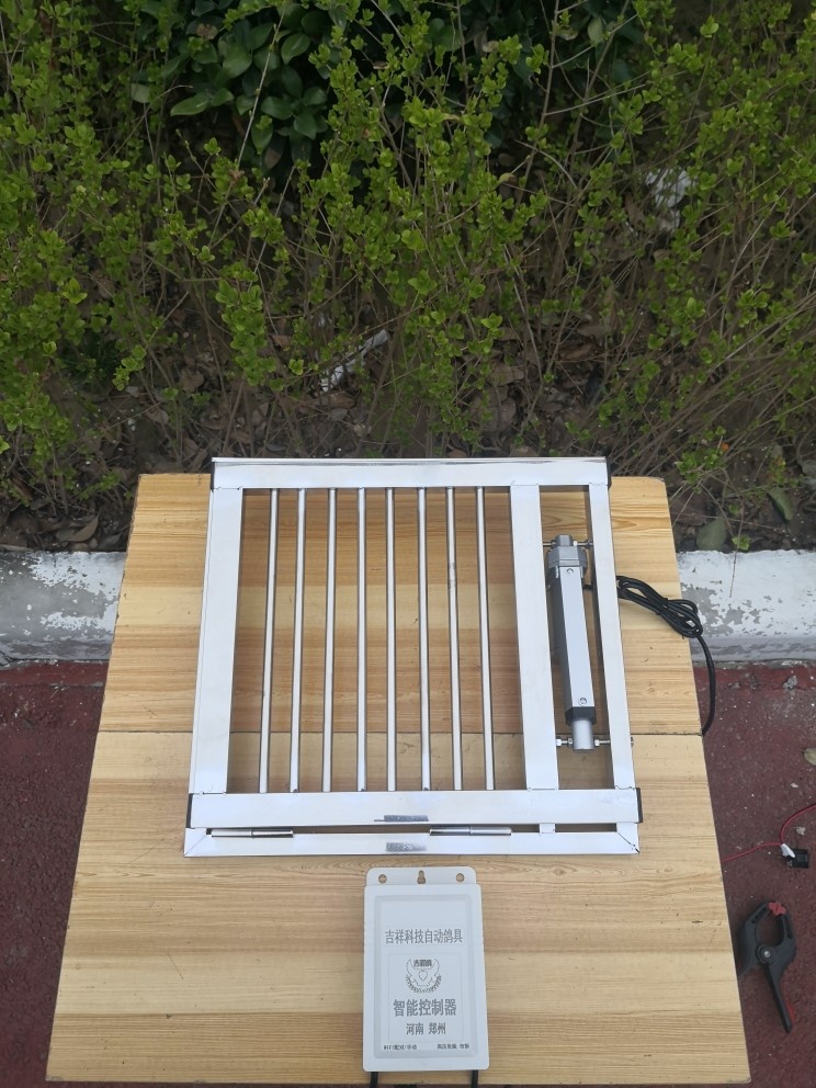 信鸽用品用具手机wifi定时遥控远程控制推拉自动放飞鸽舍电动门机(去