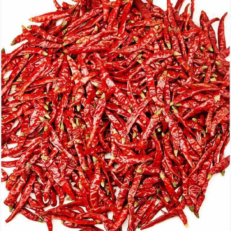 特辣超香朝天椒印度魔鬼红四川辣椒红干辣椒500g正品包邮