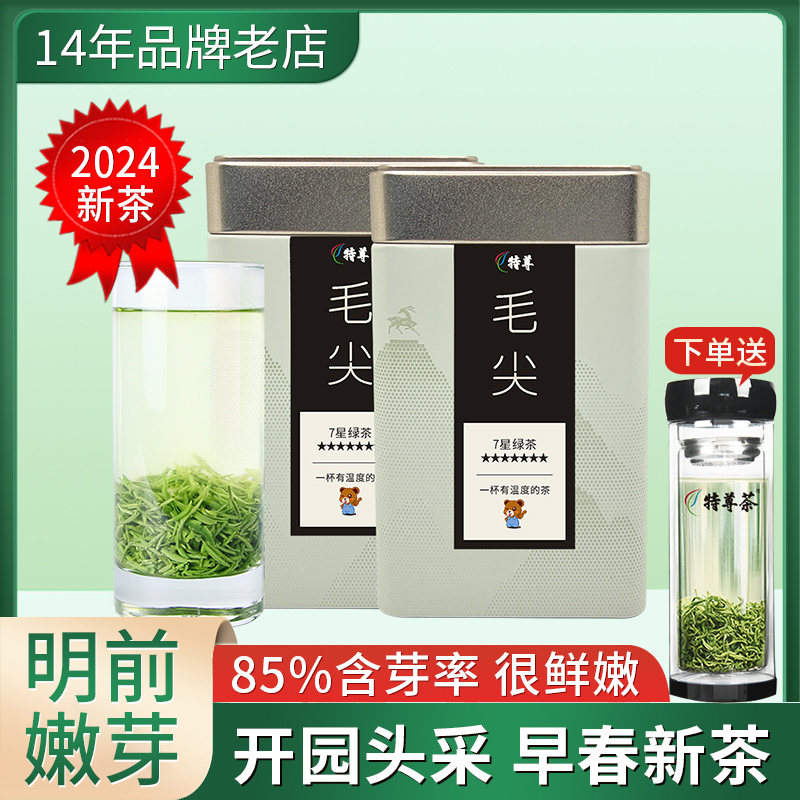 毛尖茶叶2024新茶高山绿茶炒青浓香散装春茶250g自己喝7星特尊茶