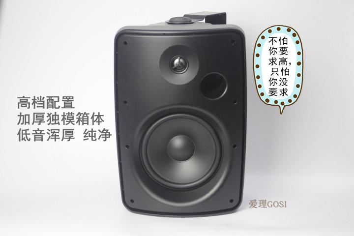 正品T&T 8寸挂壁音响 会议音箱  高保真环绕塑壳音响 WSB-825T