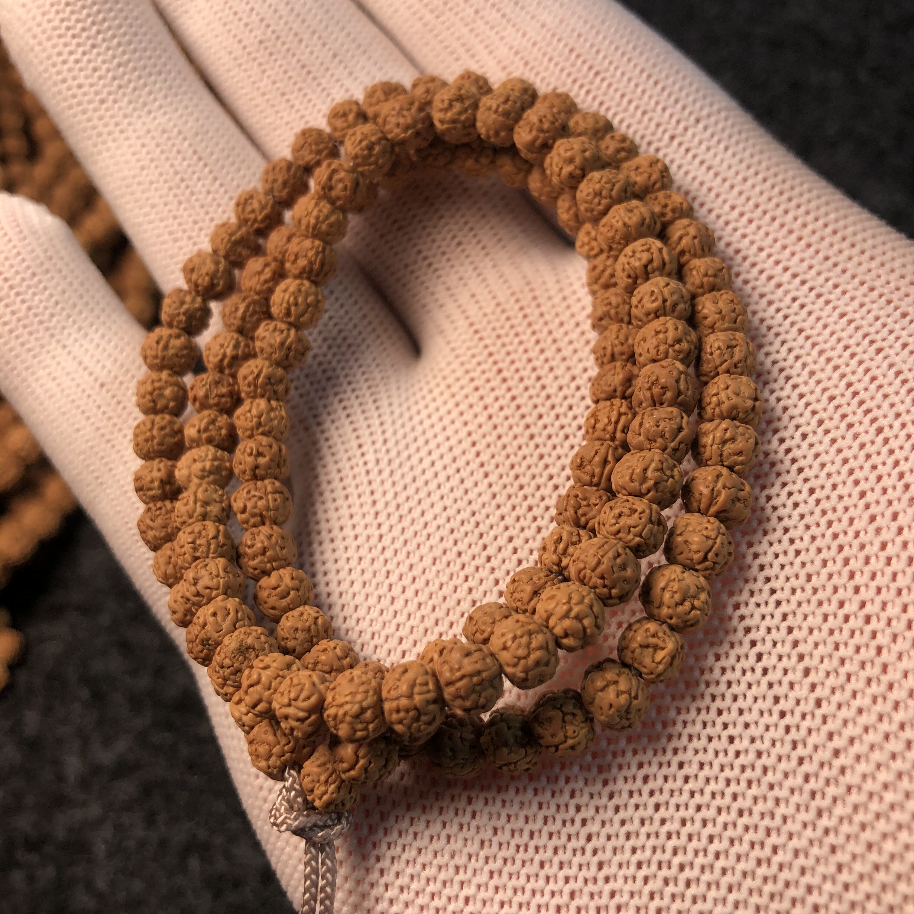 特价盘龙纹小金刚_一代盘龙纹  姜黄皮小金刚矮桩爆肉 梅花双龙迷你