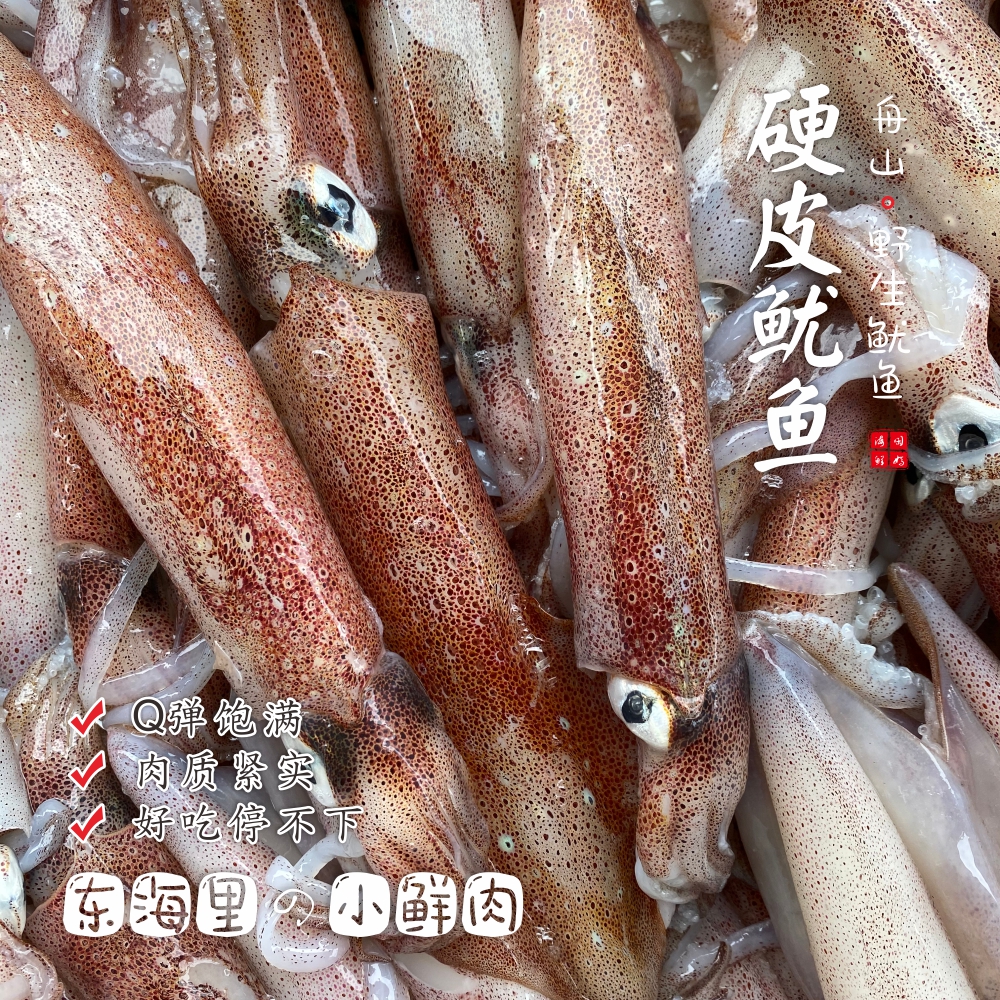 【闹妈】 [鲜冻]镇店之宝硬皮鱿鱼句公 1斤5-8只左右共500g±30g