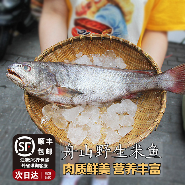 多米鱼-特价促销-优惠券领取-价格|多少钱|什么牌子好-35优惠券网站