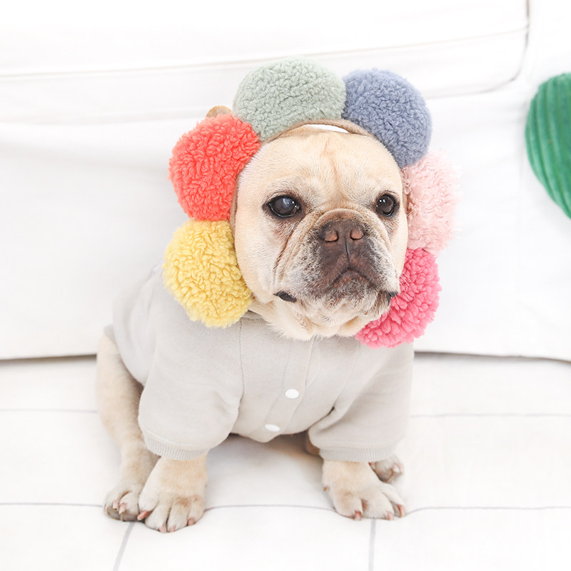 特价狗头箍_宠物头饰可爱七彩太阳花配饰搞怪法斗泰迪中小型犬道具