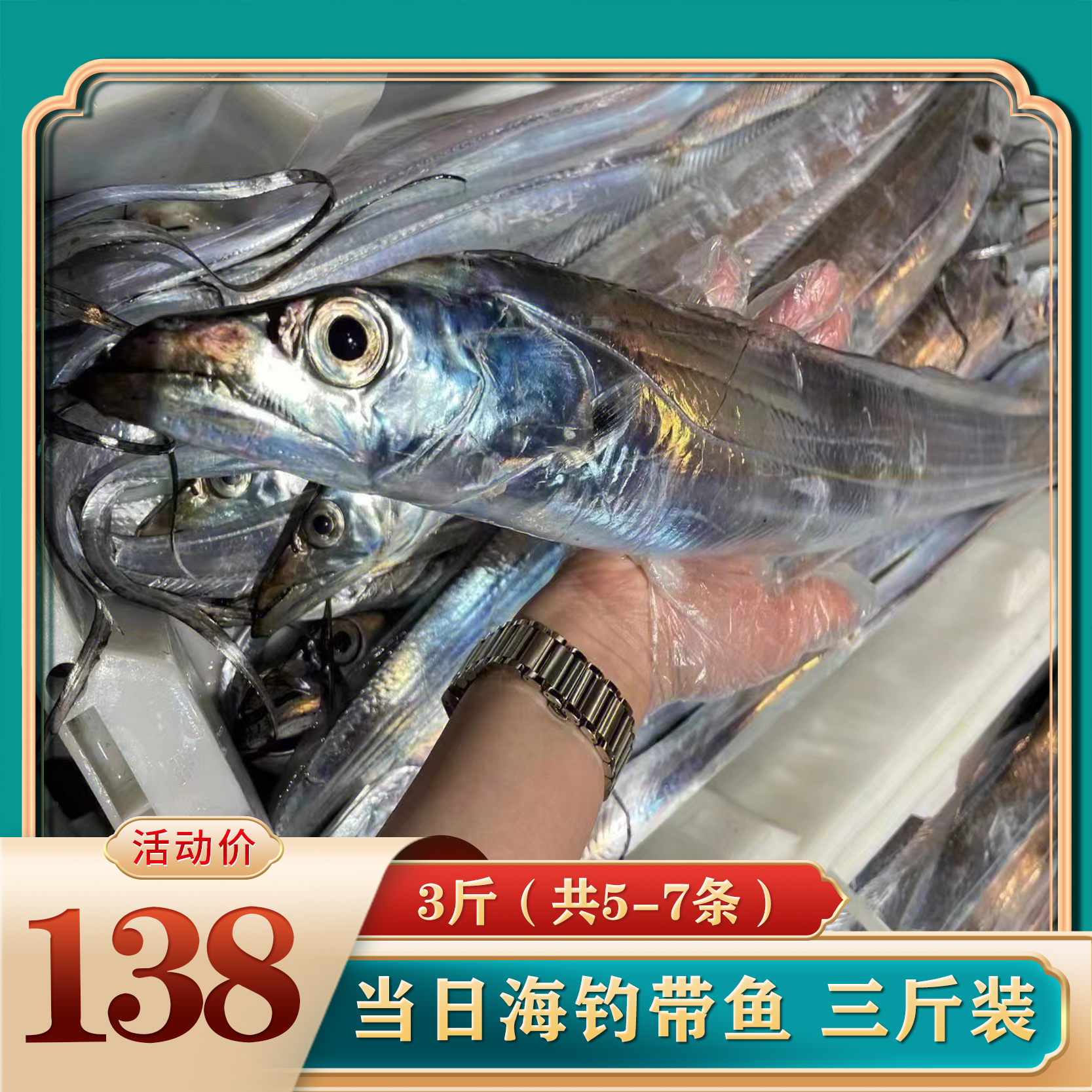 舟山带鱼新鲜海鲜水产鲜活整条特级大东海刀鱼海钓舟山油带鱼