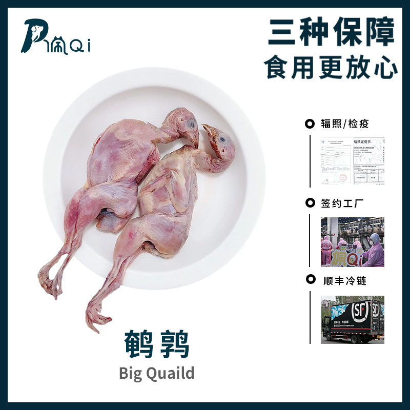 新鲜冷冻白条鹌鹑湿粮猫咪狗狗生骨肉