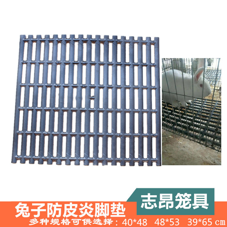 志昂兔兔宠物狗猫养殖笼内部专用塑料软脚垫兔子防皮炎脚垫在类目 宠物/宠物食品及用品, 兔类及其用品, 脚垫中 - 来自Buy2taobao.com提供专业的淘宝代购服务