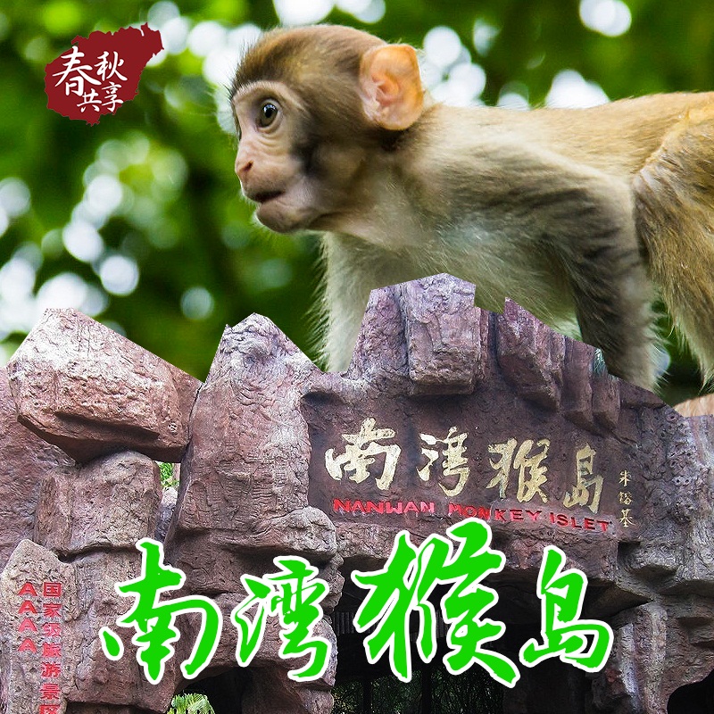 海南三亚陵水南湾猴岛一日游景点门票索道市区接送安心纯玩无购物