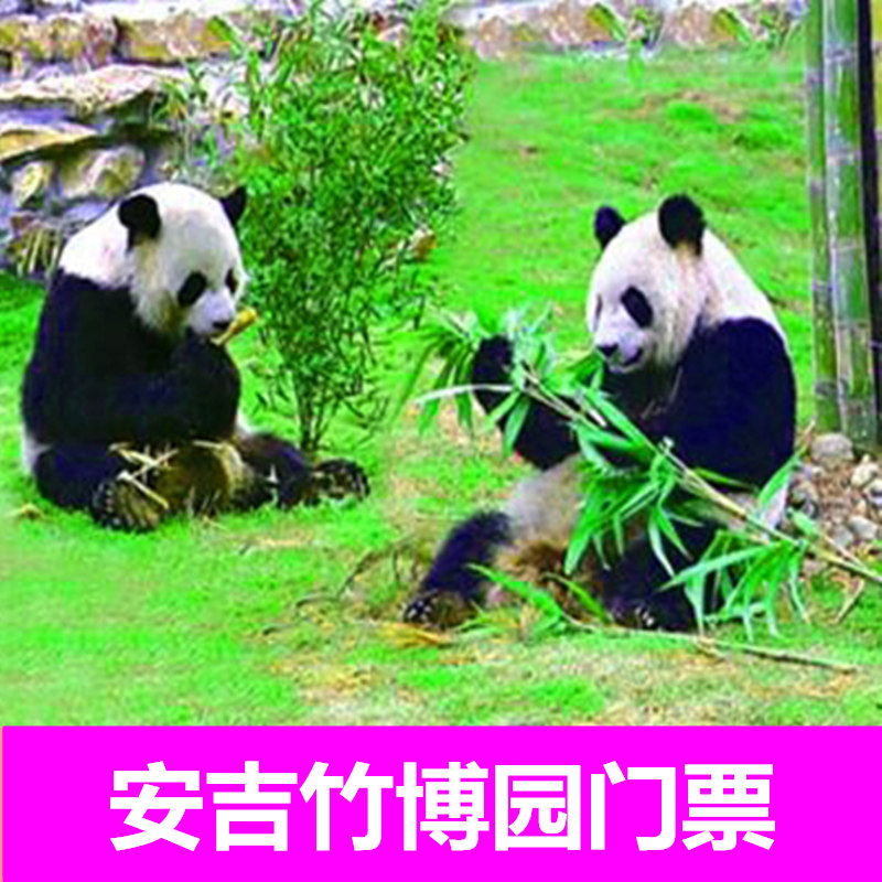 [竹博园-大门票（提前票）]安吉竹博园门票含熊猫馆电子票