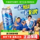【王鹤棣推荐】哈尔滨啤酒哈啤冰纯拉罐500ml*18听易拉罐整箱批发