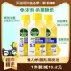 【520欢乐购】Dettol/滴露洗衣机清洗剂柠檬250ml*3瓶