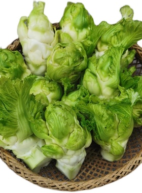 新鲜儿菜农家自种抱儿菜子母菜娃娃菜应季蔬菜现摘现发重庆农产品