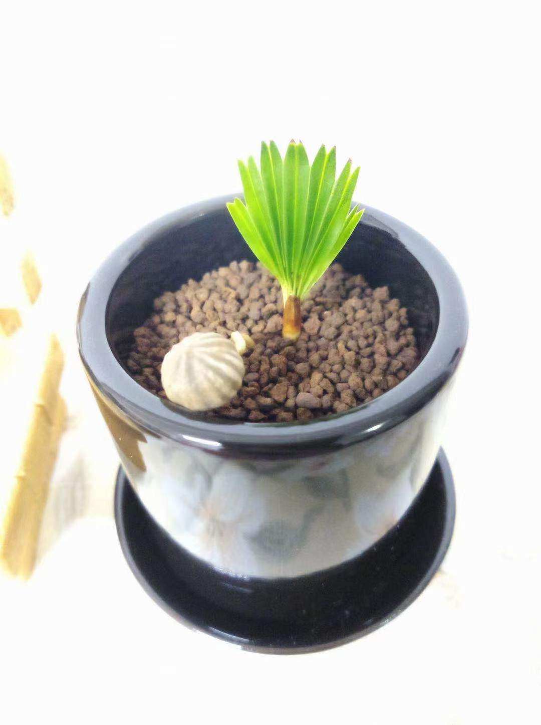 晴科-特价促销-优惠券领取-价格|多少钱|什么牌子好-35优惠券网站