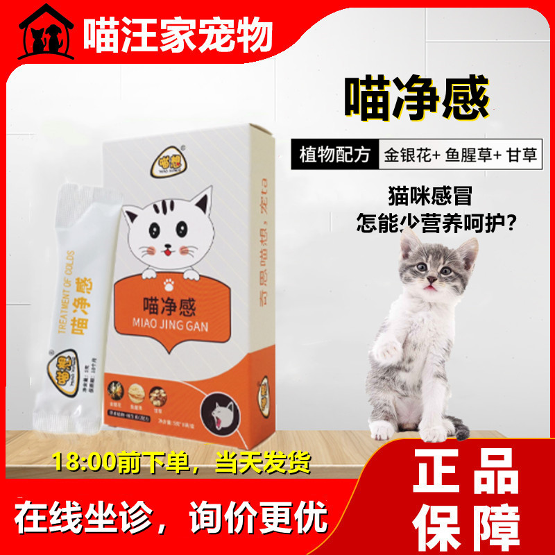 喵想喵净感宠物猫咪专用感冒期的营养补充剂非感冒药可配汪喵阿莫