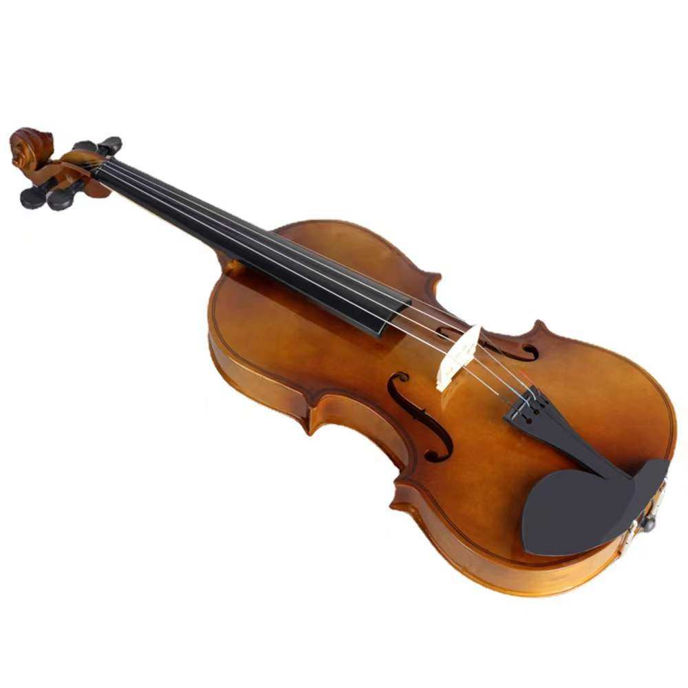 violin