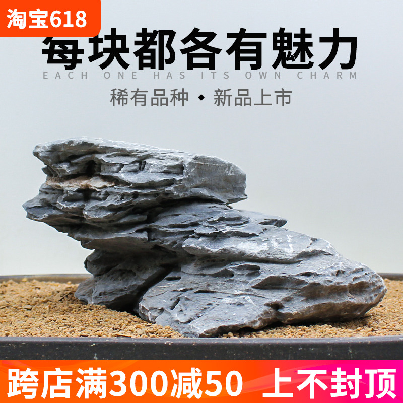 鱼缸造景石头青千层石天然原石大号假山盆景草缸装饰品小摆件套餐