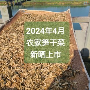 2024奉化农家笋干菜雪菜毛笋新晒干菜非绍兴梅干菜烤肉500克包邮