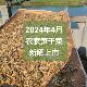 2024奉化农家笋干菜雪菜毛笋新晒干菜非绍兴梅干菜烤肉500克包邮