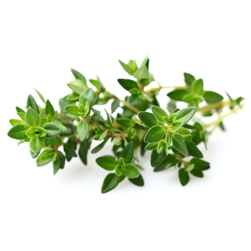 花初夏茶树纯露500ml净痘修护痘痘闭口粉刺痘印控油爽肤收毛孔