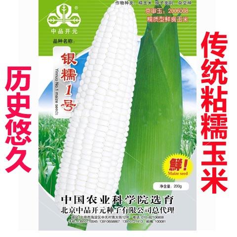 玉米种子银糯1号白糯鲜食中国农科院监制家庭园艺种子