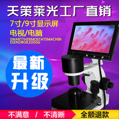 天策莱光厂家直供 高清XW880微循环检测仪 末梢血管观察仪 显微镜