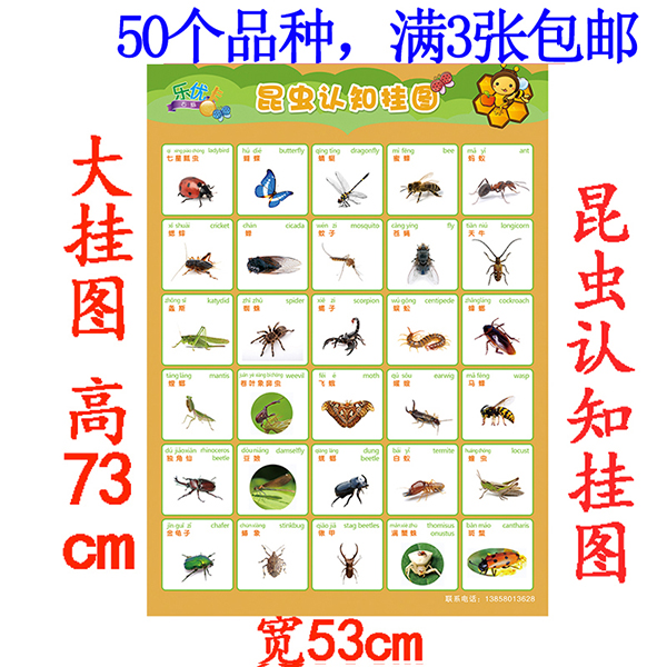 宝宝启蒙昆虫认知挂图无声幼儿童看图识字全套婴儿早教墙贴画海报