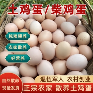 土鸡蛋正宗农家散养新鲜柴鸡蛋农村放养纯粮食草绿壳土鸡蛋笨鸡蛋