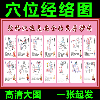 中医养生美容十二人体经络穴位图解挂图全身艾灸针灸拔罐刮痧海报