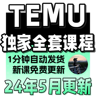 2024Temu教程 Temu新手选品运营广告 跨境海外拼多多Temu学习课程